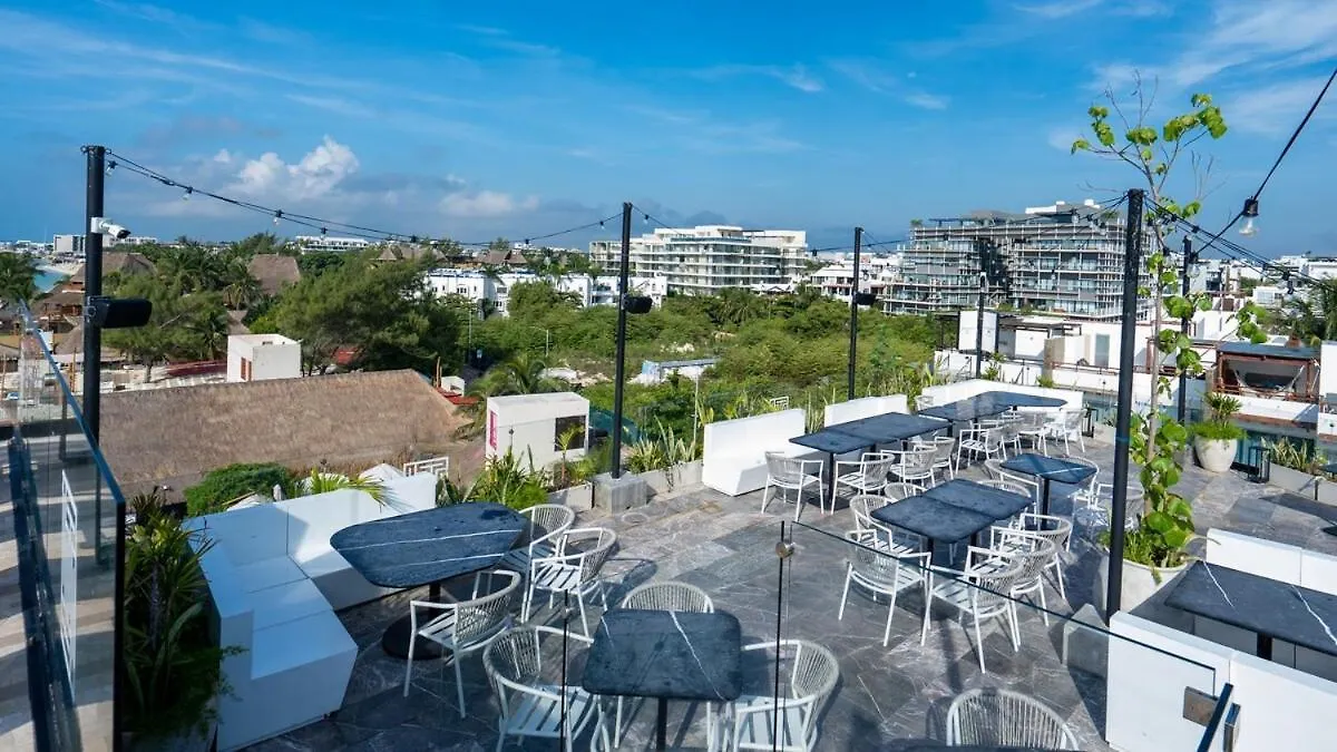 Apartment Beachfront Condo Roof Pool 5Th Ave 2 Blocks Gym Playa del Carmen