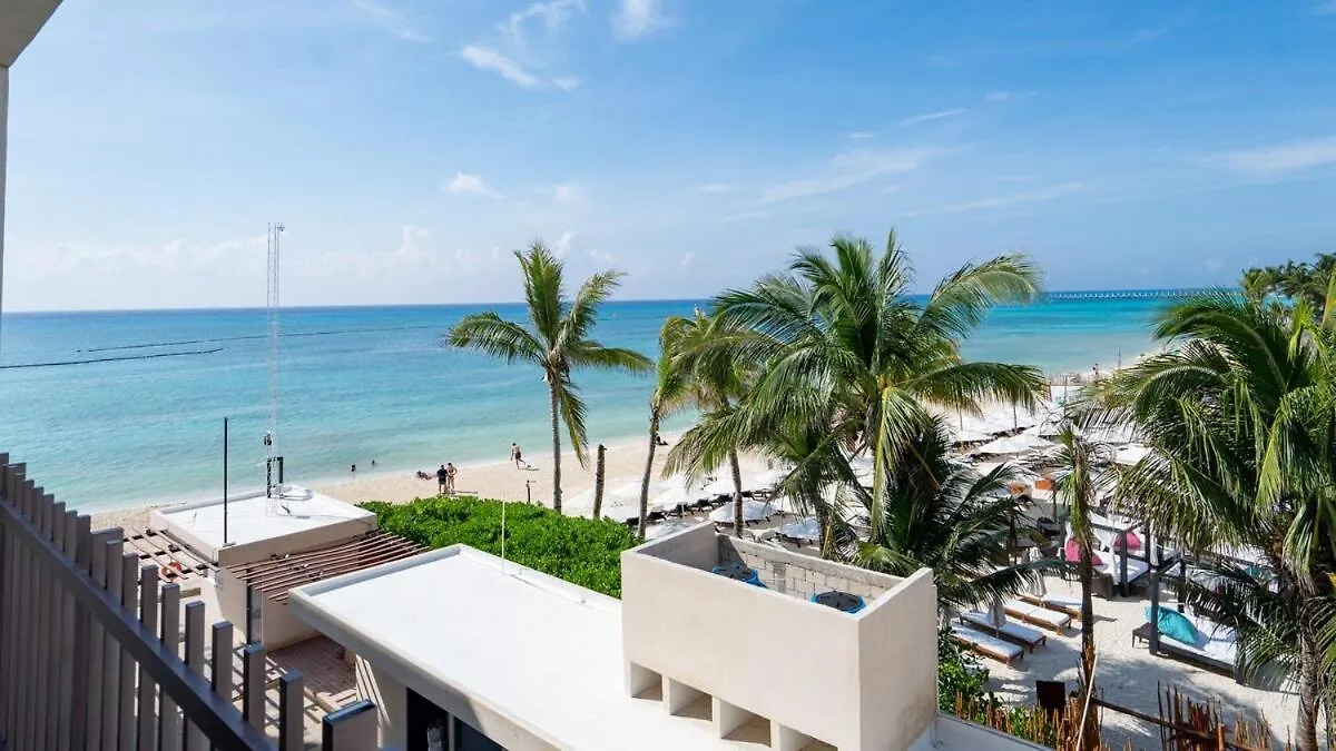 Beachfront Condo Roof Pool 5Th Ave 2 Blocks Gym Playa del Carmen Apartment